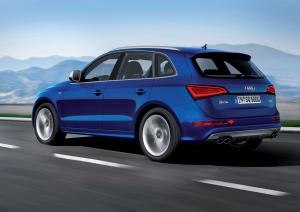 Audi SQ5 TDI 2013 года  (WW)